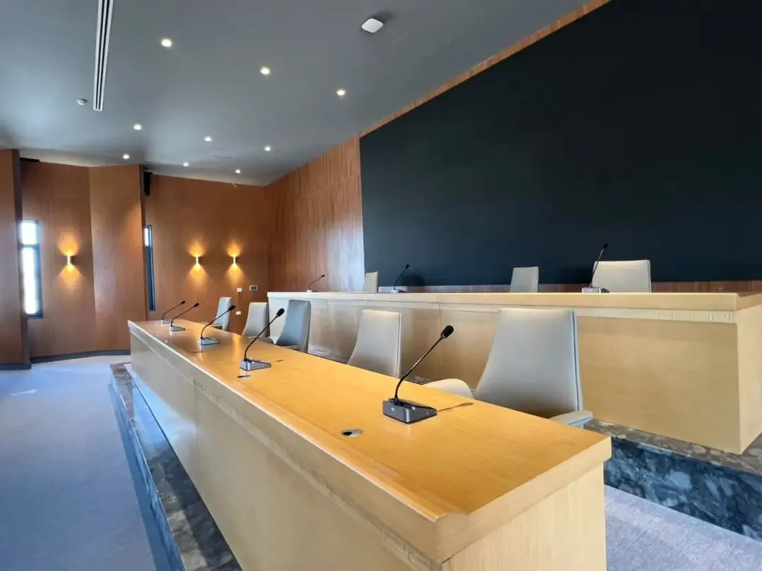 fully digital conference system